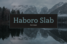 Haboro Slab Condensed Ex Bold Italic