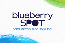 Blueberry Spot Clean