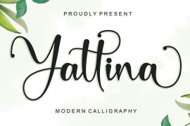Yattina Regular