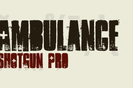 Ambulance Shotgun Pro