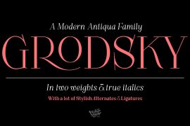 Grodsky Bold Italic