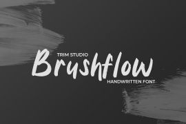 Brushflow
