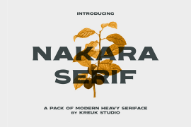 Nakara Regular
