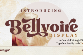 Bellvoire Display Regular