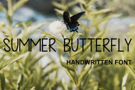 Summer Butterfly Regular