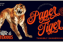 Paper Tiger Sans Print Regular