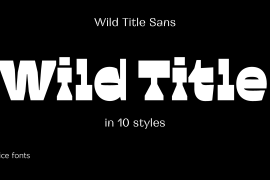 Wild Title Sans All Styles Variable