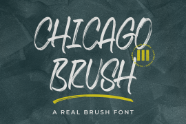 Chicago Brush Regular
