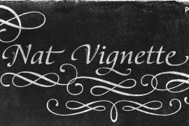 Nat Vignette Two
