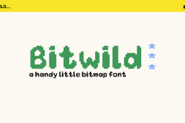 Bitwild Regular