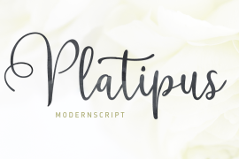 Platipus Script Regular