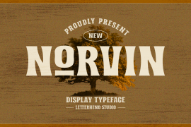 Norvin Regular