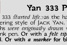 Yan 333 Pro Black Italic
