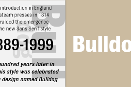 Bulldog Semi Bold Italic Crazed