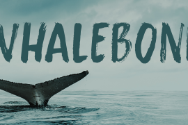 Whalebone Italic