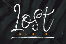 Lost Brush Regular