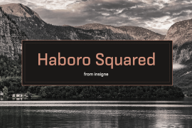 Haboro Squared Norm Light Italic