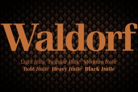 Waldorf Pro Echo