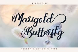 Marigold Butterfly Regular