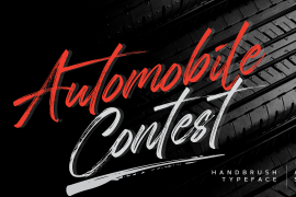 Automobile Contest Regular