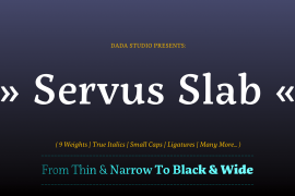 Servus Slab Black Italic