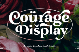 Courage Display Italic