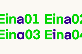 Eina 04 Bold