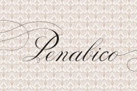 Penabico Words