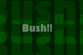 Bush!!