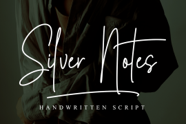 Silver Notes Regular