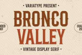 Bronco Valley Spurs