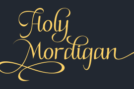 Holy Mordigan Regular