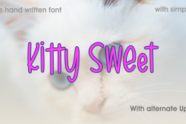 Kitty Sweet Regular