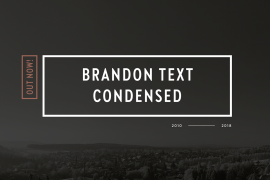 Brandon Text Condensed Black Italic