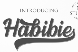 Habibie Regular