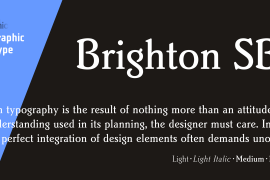 Brighton SB Bold