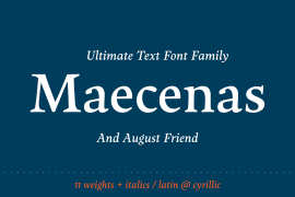 Maecenas Heavy Italic