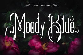 Moody Blue Regular