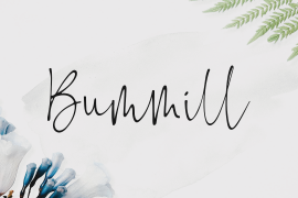 Bummill Regular