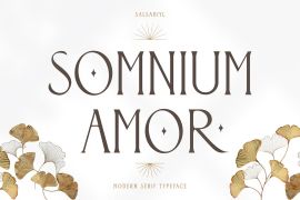 Somnium Amor Regular