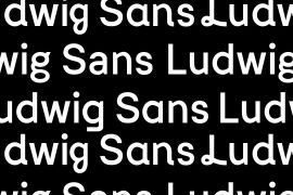 Ludwig Sans Variable