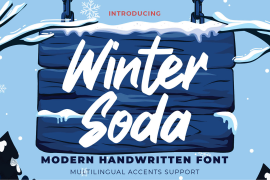 Winter Soda Regular