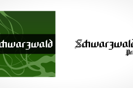 Schwarzwald Pro