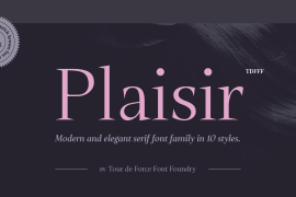 Plaisir Bold Italic