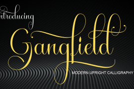 Gangfield Regular