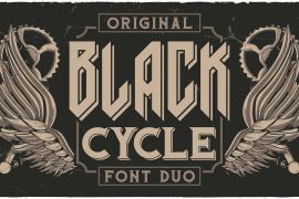 Black Cycle 2 Aged 1