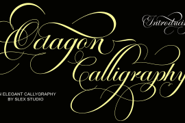 Octagon Calligraphy Regular