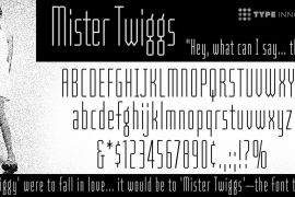 Mister Twiggs