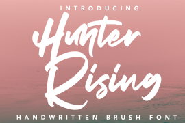 Hunter Rising Swash