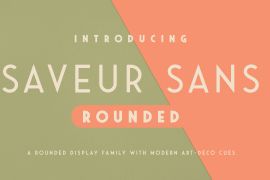 Saveur Sans Round Bold